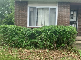 Bush Trimming by Marcus Williams for Jaisi R. in Cleveland, OH