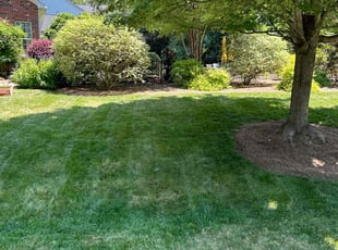 Karthigeyan G.'s Lawn Care service result