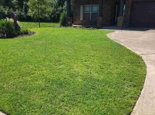 Paul L.'s Lawn Service service result