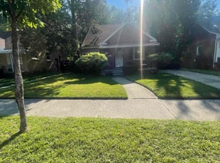 Monica G.'s Lawn Service service result