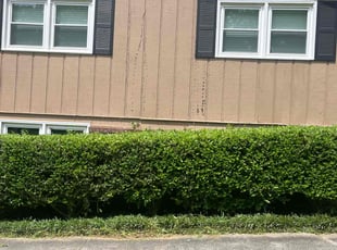 Bush Trimming by Milton Rodriguez for Adrian B. in Acworth, GA