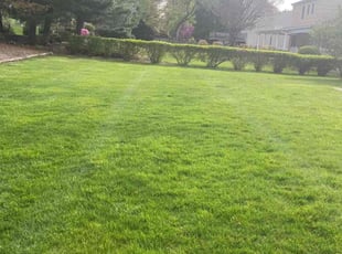 Kirk G.'s Lawn Mowing Service service result