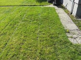 Kim E.'s Lawn Care service result