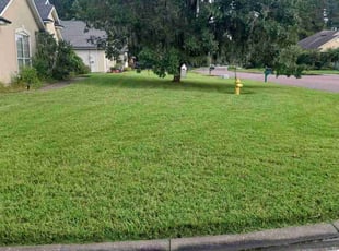 Gerry O.'s Lawn Maintenance service result