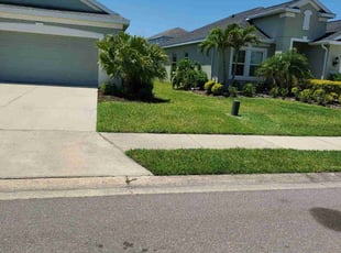Ellen V.'s Lawn Mowing service result