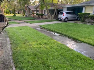 Ronnica T.'s Grass Cutting service result