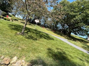Steve M.'s Lawn Service service result