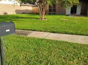 Reginald B.'s Lawn Maintenance service result