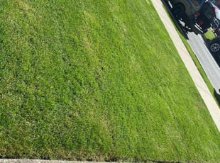 Lisa H.'s Grass Cutting service result