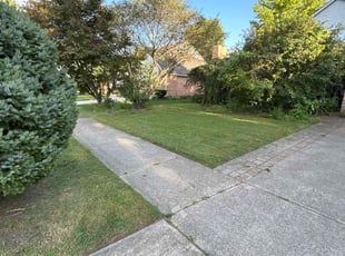 Felipe P.'s Grass Cutting service result