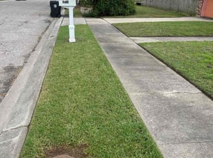Deshaun S.'s Lawn Mowing service result