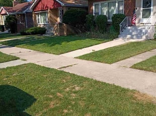 Bush Trimming by Arkeith Dorsey for Deirdre N. in Chicago, IL
