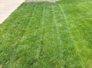 Tomika L.'s Lawn Service service result