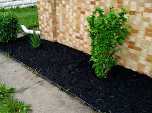Landscaping by Frank Koller for Tim T. in Indianapolis, IN