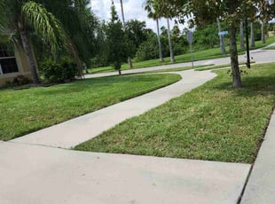 Kim H.'s Lawn Mowing service result
