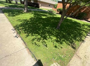 Daniel S.'s Lawn Mowing Service service result