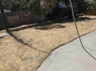 Leaf Removal by Juan Rodriguez for Jessica A. in Sacramento, CA