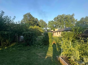 Bush Trimming by Eugenio Cuenca for Erin M. in Indianapolis, IN