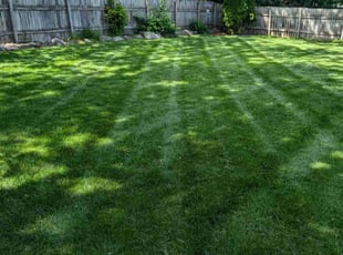 Deb K.'s Lawn Service service result