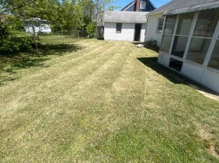 Fred S.'s Grass Cutting service result