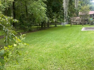 Tyler P.'s Lawn Service service result