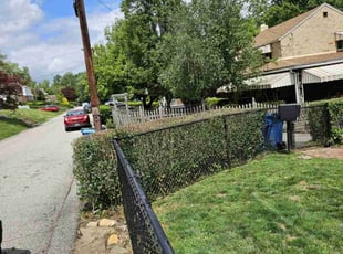 Bush Trimming by Brandon Morris for Daniel G. in Pittsburgh, PA