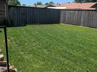 Catla R.'s Lawn Mowing service result
