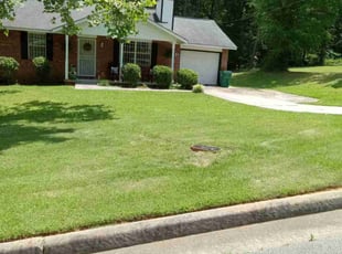 Scott S.'s Lawn Mowing service result