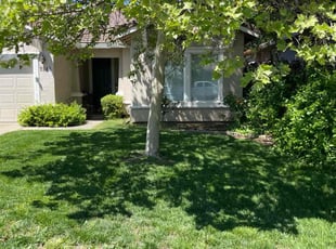 Natalie E.'s Lawn Mowing Service service result