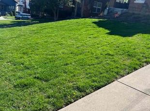 Pam D.'s Grass Cutting service result