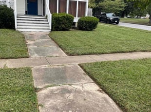 Patricia N.'s Grass Cutting service result