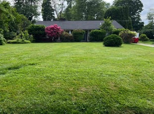 David D.'s Yard Cutting service result