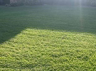 Cindy W.'s Grass Cutting service result