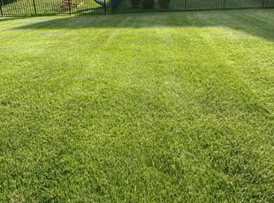 Aaron J.'s Lawn Mowing Service service result