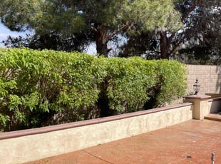 Bush Trimming by Mario Monje for Sylvia T. in Menifee, CA