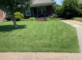 David S.'s Yard Cutting service result