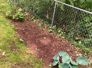 Weeding by Willie Cade for Muriel O. in Lawrenceville, GA