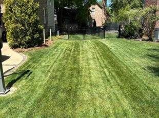 David G.'s Grass Cutting service result