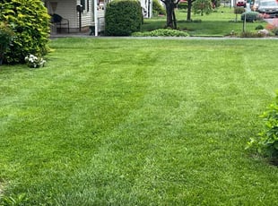 Pat J.'s Lawn Maintenance service result