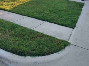 Crystal C.'s Lawn Care service result