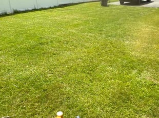 Brandon O.'s Lawn Care service result