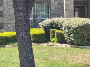 Bush Trimming by Jason Westgor for John C. in San Antonio, TX