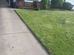 kevin c.'s Lawn Mowing service result