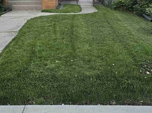 Jeff C.'s Lawn Care service result