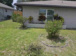 Bush Trimming by Christian Carrasquillo Rodriguez for Florence S. in Kissimmee, FL