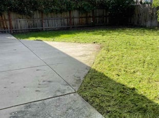 Elizabeth P.'s Lawn Mowing Service service result