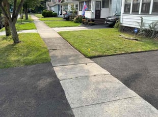 Ms. P.'s Lawn Care service result