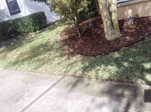 Andrew D.'s Lawn Service service result