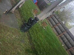 Nichelle S.'s Grass Cutting service result