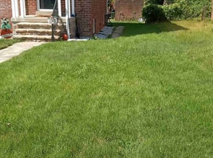 Angela S.'s Lawn Service service result